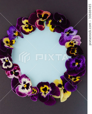 pansy flowers pansy flowers 30686485