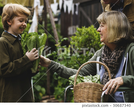 Senior couple with boy planting vegetables at garden backyard 30687340