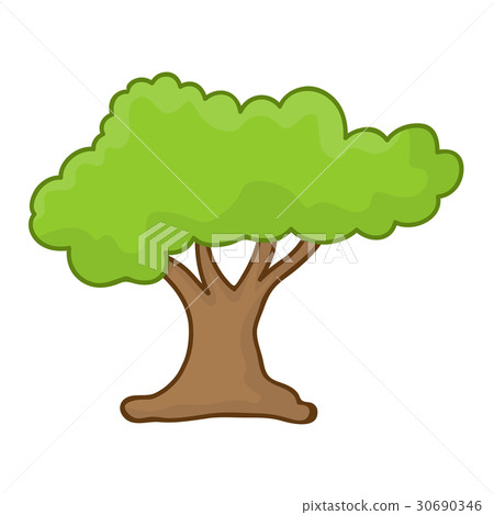 tree isolated illustration tree isolated illustration 30690346