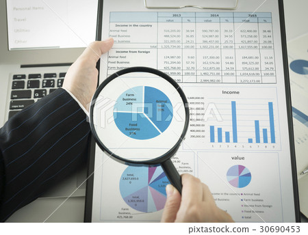 auditing auditing 30690453
