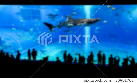 Abstract blur background of Aquarium 30691705
