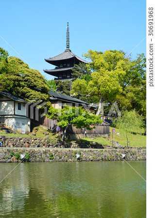 奈良興福寺 30691968