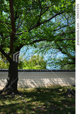 Nara Kofukuji Temple Nara Kofukuji Temple 30691970
