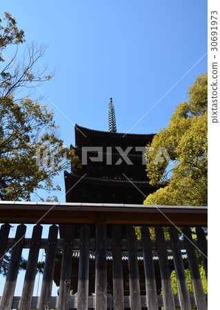 Nara Kofukuji Temple Nara Kofukuji Temple 30691973