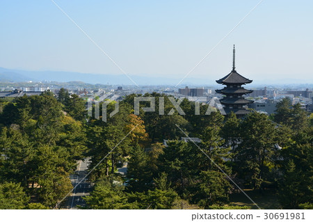 奈良興福寺 30691981