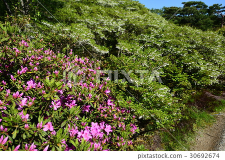 Nagano Prefectural Garden Japanese Garden Nara 30692674