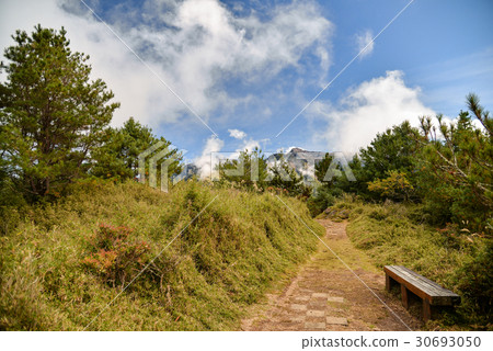 鹿林山步道 30693050