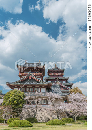 Spring landscape of Fushimi-Manshan castle 30693056