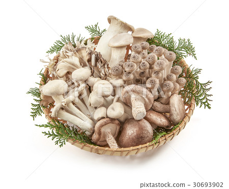 Assorted mushrooms (shiitake mushrooms, shimeji, mai, mushrooms, abalone mushrooms) Assorted (shadow ink, background whiteout) Assorted mushrooms (shiitake mushrooms, shimeji, mai, mushrooms, abalone mushrooms) Assorted (shadow ink, background whiteout) 30693902