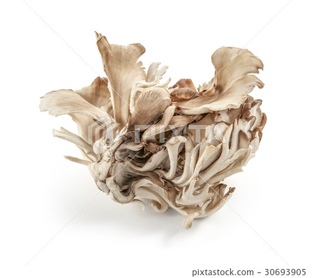 Miutake（Shadow Iki，背景白茫茫） 30693905