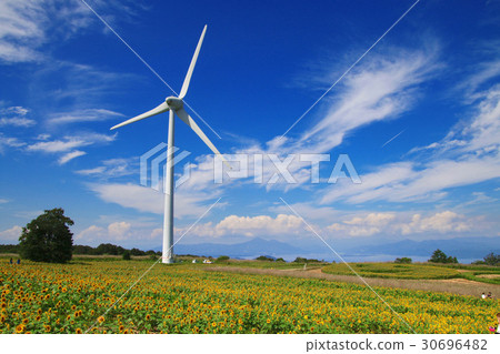 Summer of cloth wind-like plateau (Koriyama shi Hunan Town) 30696482