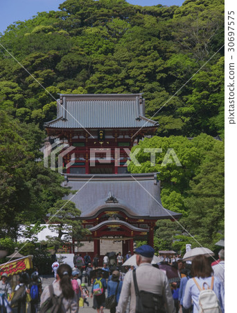 鶴岡八幡宮 鶴岡八幡宮 30697575