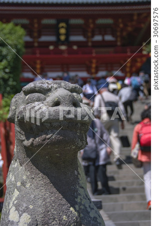 鶴岡八幡宮神社狗 30697576