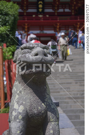 鶴岡八幡宮神社狗 鶴岡八幡宮神社狗 30697577