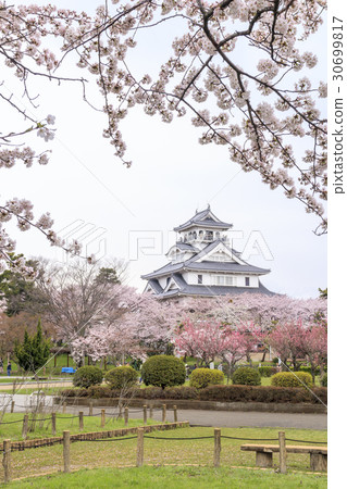 櫻花盛開的Yutaka公園長濱城堡 30699817