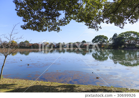 京都·大學寺·大澤池 京都·大學寺·大澤池 30699926