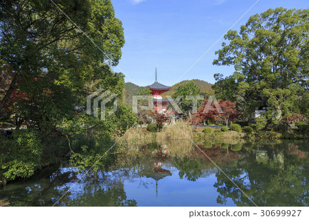 京都·Daikaku-ji寺的心臟 30699927