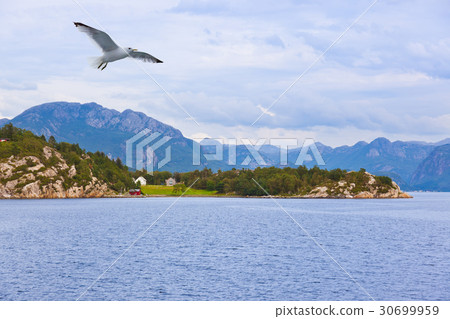 Fjord Lysefjord - Norway 30699959