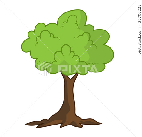 tree isolated illustration 30700223