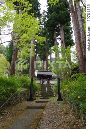 Shinshu Matsumoto寺廟Hirosawaji寺(Hirosawa寺)臨近春天春天是信濃先生監護人小笠原名寺Yamabuki花盛開 Shinshu Matsumoto寺廟Hirosawaji寺(Hirosawa寺)臨近春天春天是信濃先生監護人小笠原名寺Yamabuki花盛開 30701336