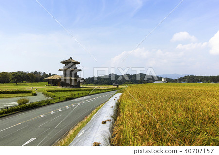 Tamaji城堡廢墟和古老米的八角形鼓 30702157