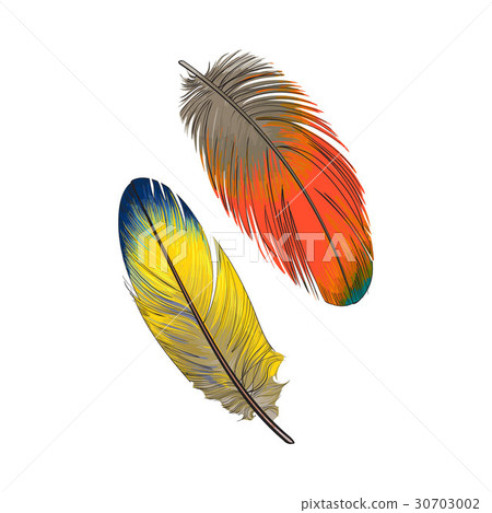 Two hand drawn smoth orange and yellow tropical Two hand drawn smoth orange and yellow tropical 30703002