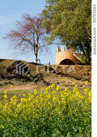 展覽Haikai 10的強姦花田 30703085