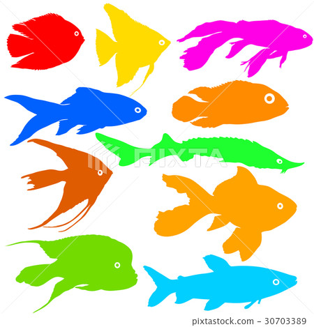 Color silhouette of aquarium fish white background 30703389