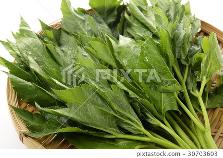 Tomorrow leaves Tomorrow leaves 30703603