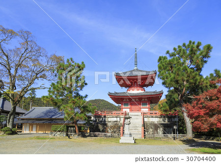 京都·Daikaku-ji寺的心臟 京都·Daikaku-ji寺的心臟 30704400