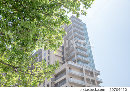 Skyscraper and green 30704450