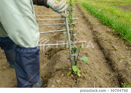 Seedling stand uprights 30704798