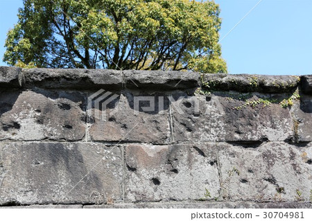 Kagoshima Castle 30704981