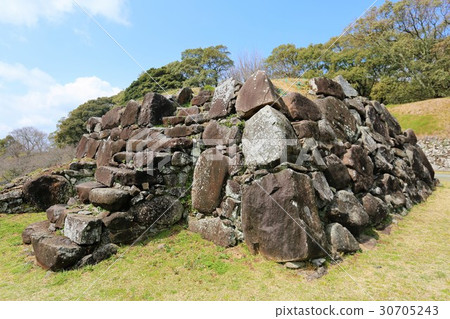 Nagoya Castle Nagoya Castle 30705243