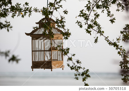 Lanterns hanging from the trees to decorate cage 30705318