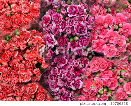 Red pink and purple flower, bouquet background 30706258