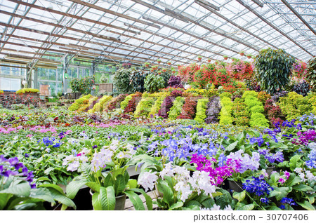 Matsue Vogel Park Matsue Vogel Park 30707406