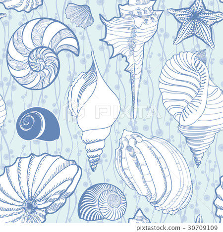 Seashell pattern. Summer holiday marine background 30709109
