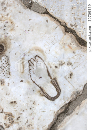 The ruins of the ancient antique city of Ephesus t The ruins of the ancient antique city of Ephesus t 30709529