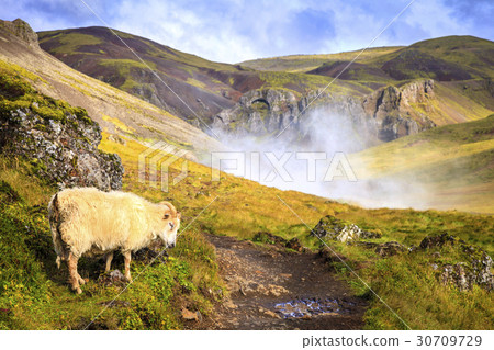 Hveragerdi Hot Spring River Trail 30709729