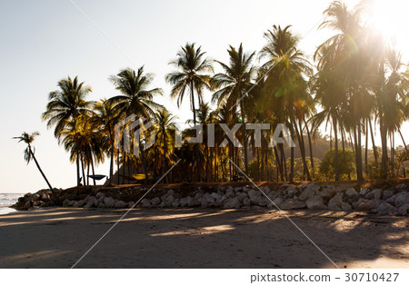 Sunset on tropical coastline Sunset on tropical coastline 30710427