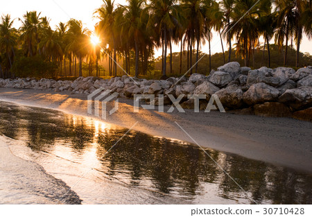 Sunset on tropical coastline Sunset on tropical coastline 30710428