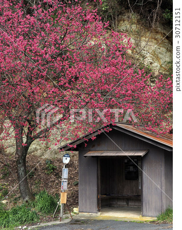 通過巴士站 30712151