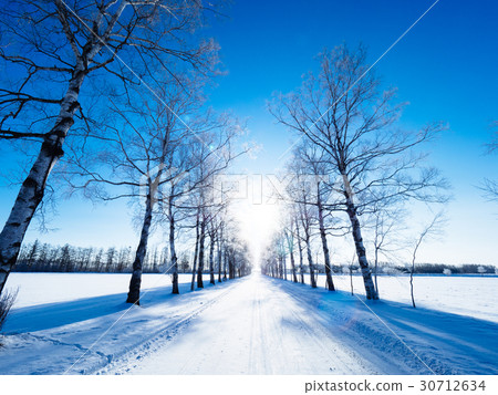 winter road 30712634