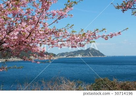 Kawazu櫻桃樹和Hohodo海島 30714196