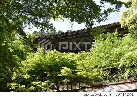 新鮮的綠色秋葉複製山Yuji寺 30714241