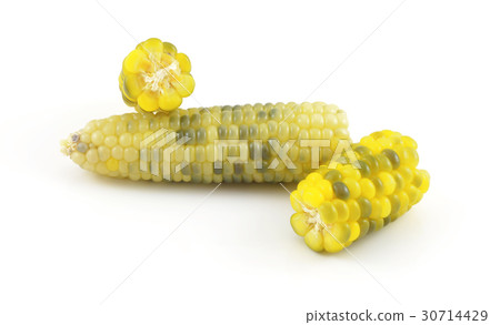 Boiled corn on white background with reflection Boiled corn on white background with reflection 30714429