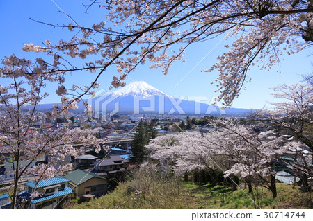 Mount Fuji Mount Fuji 30714744