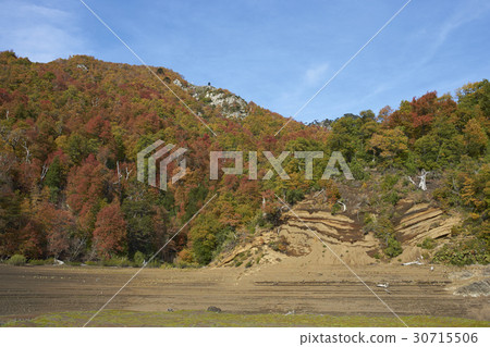 Autumn in Conguillio National Park, Chile 30715506