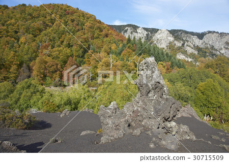 Autumn in Conguillio National Park, Chile 30715509